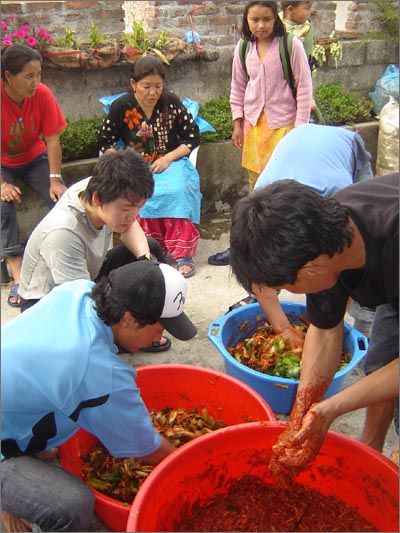 현지 배추로 담그는 김치 200kg 